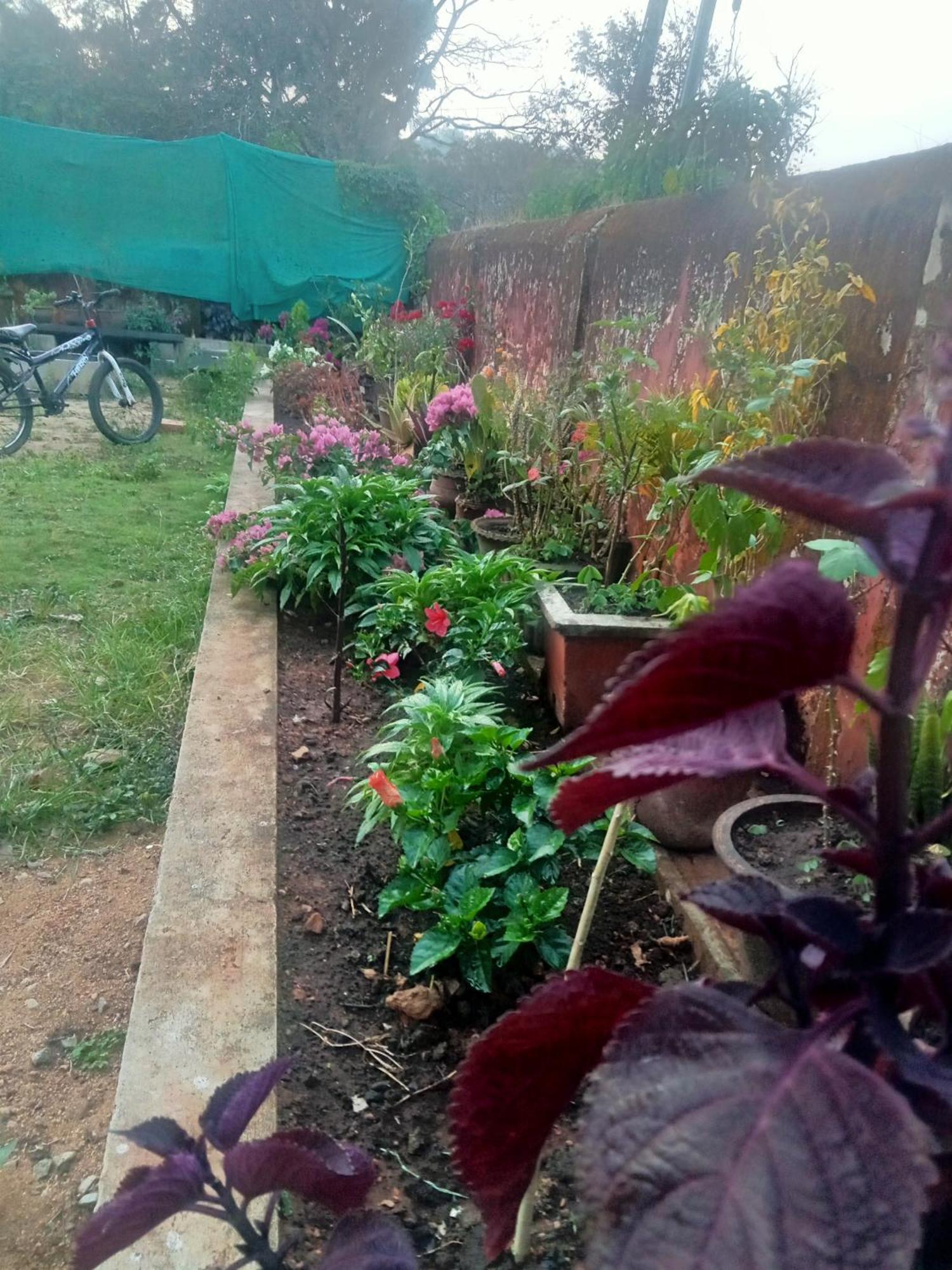 Eshwarkrupa Homestay 马迪凯里 外观 照片