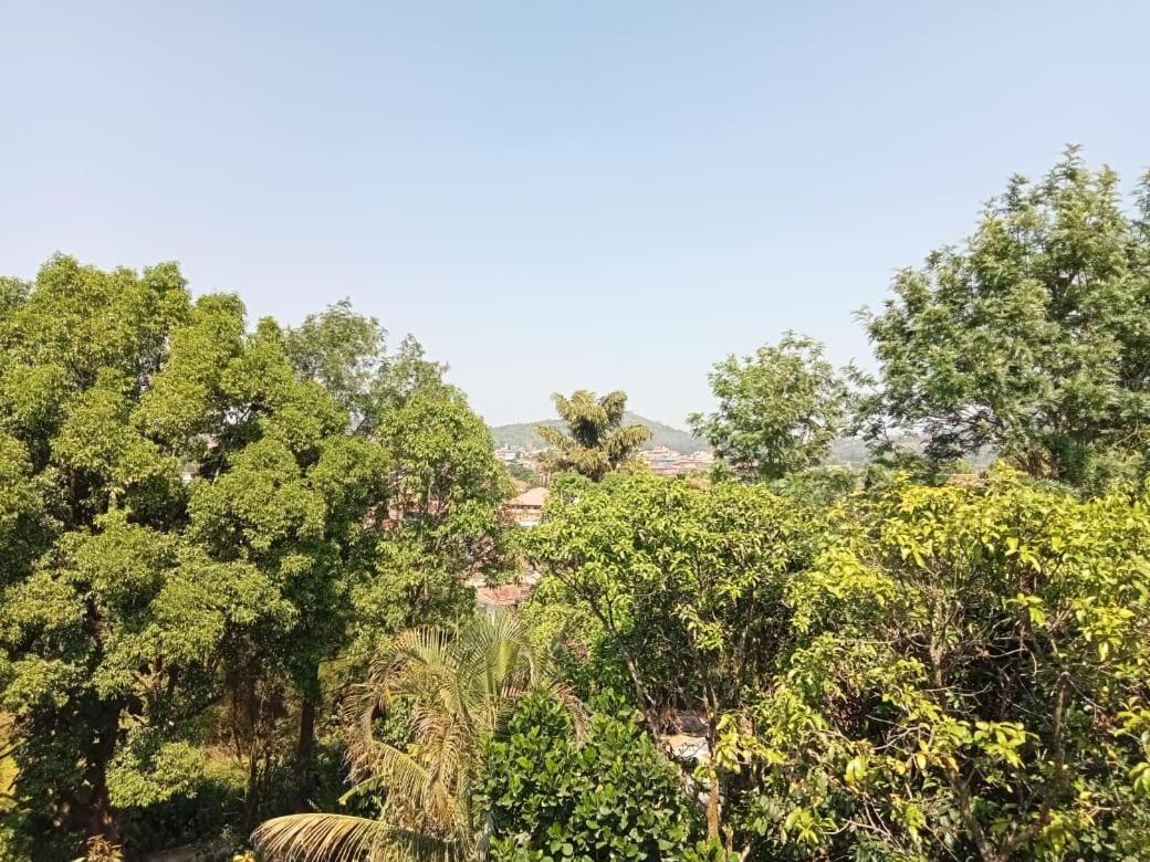 Eshwarkrupa Homestay 马迪凯里 外观 照片